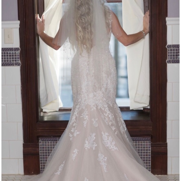 Beautiful Stella York wedding gown! Extra beading! - Picture 4 of 4